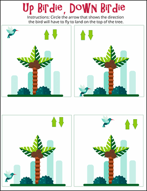 bird up and down worksheet directions